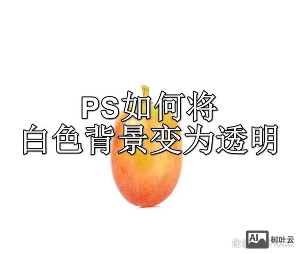 ps如何做透明背景图标