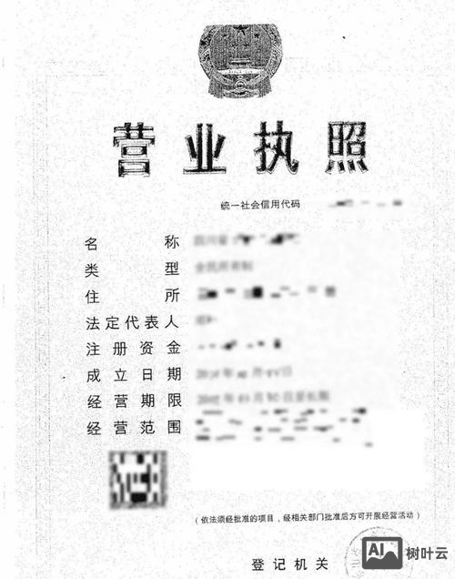 黄岛区如何办理营业执照