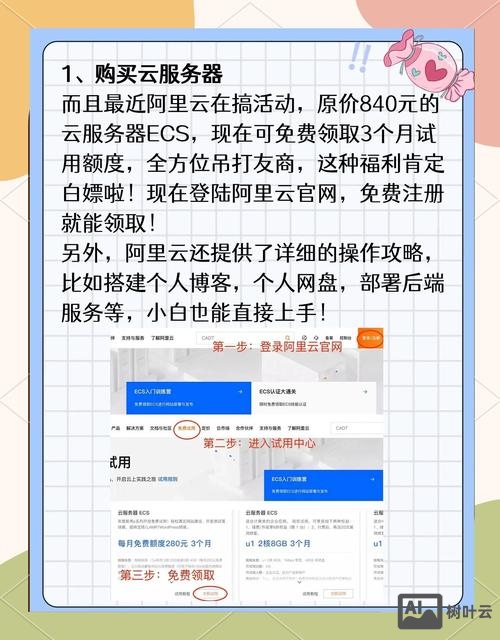 网站搭建程序市场