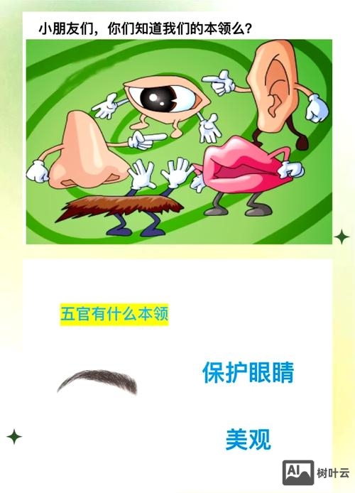 描述五官的口语课如何