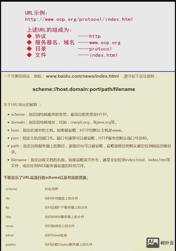 如何将域名解析到www