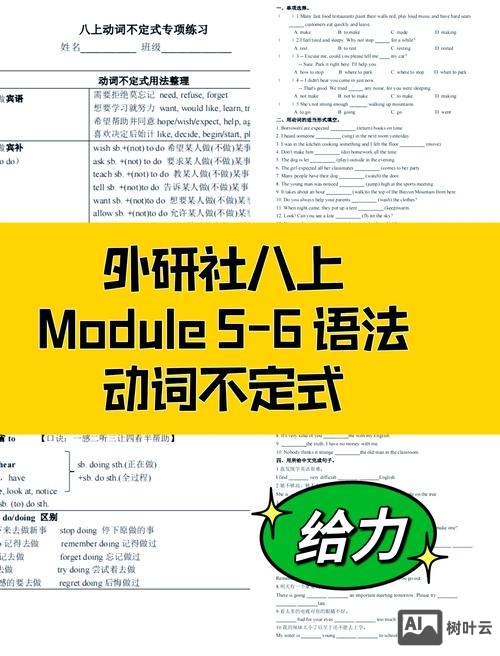外国人如何理解不定式