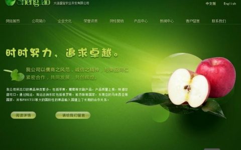 flash网站搭建，Flash网站搭建现在还可行吗？