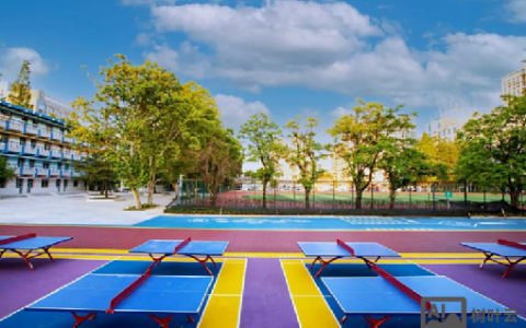 社区bbs搭建，社区BBS如何快速搭建与运营？