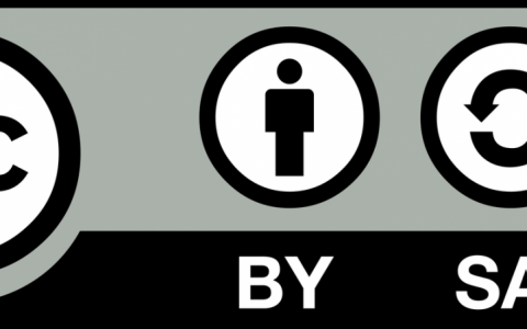 如何查维基百科语种数，维基百科语种数如何准确查询？