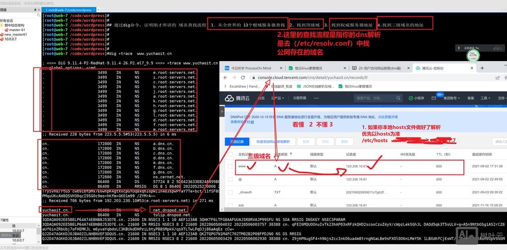 如何做手机站域名解析
