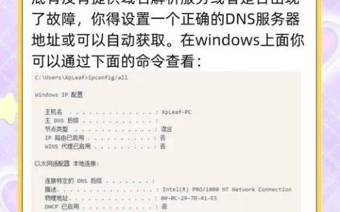 如何做手机站域名解析，手机站域名解析如何操作？