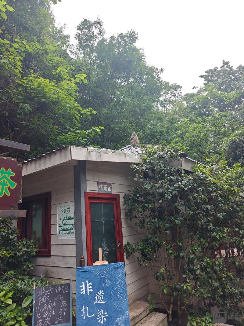 百度竞价如何更换手机