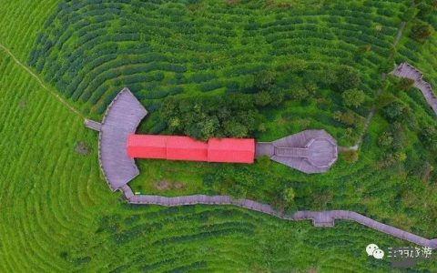 如何三明网微信平台，如何玩转三明网微信平台？