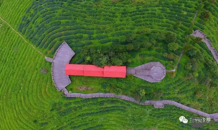 如何三明网微信平台