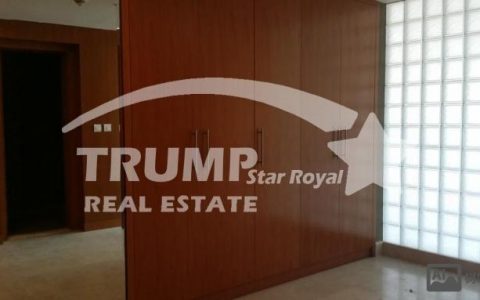 realstar limited招聘，realstar limited招聘，具体岗位和要求是什么？