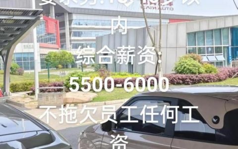 洋车港 招聘，洋车港招聘什么岗位？要求有哪些？