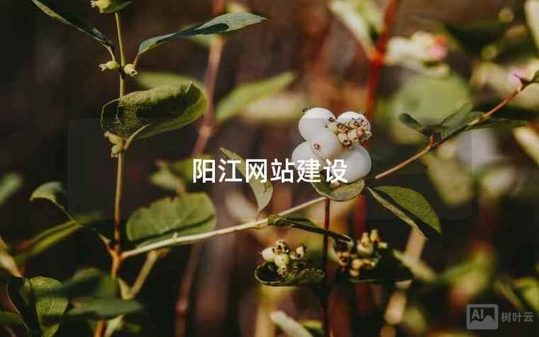 阳江网站搭建