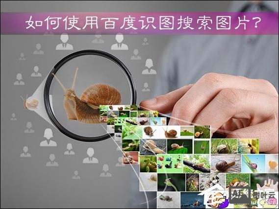 百度搜索如何让图片