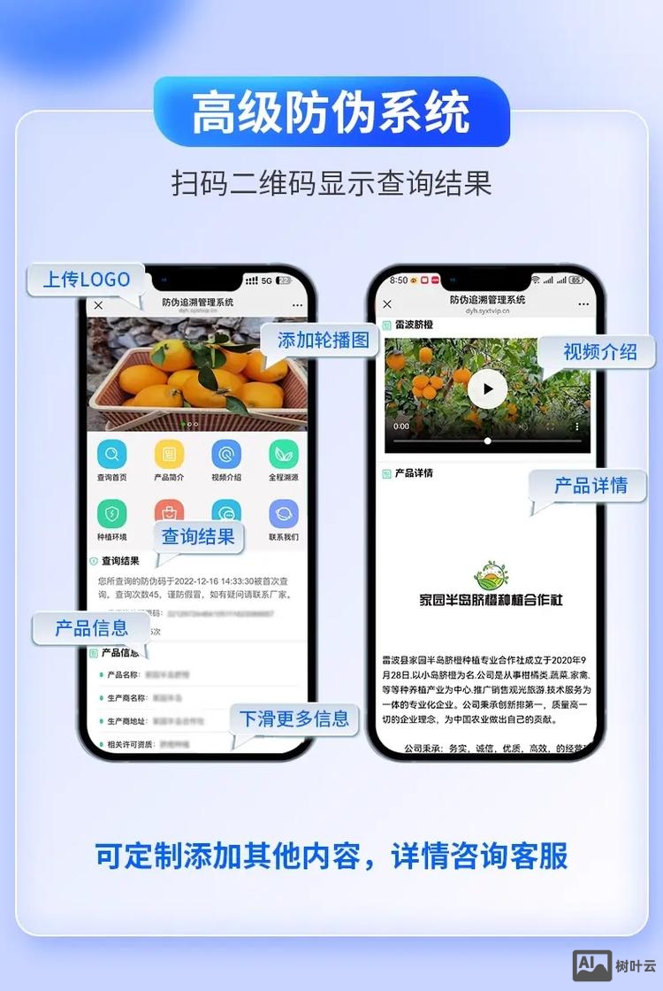 防伪网站搭建