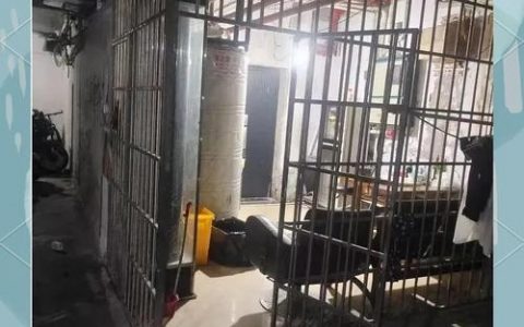 王章搭建，王章搭建如何实现高效稳固的结构？