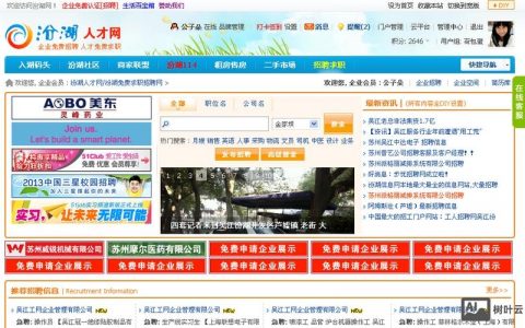 论坛 网站 搭建，论坛网站搭建，关键步骤有哪些？