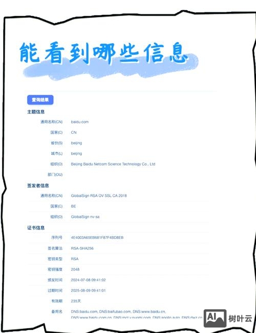 如何查询一个域名的信息