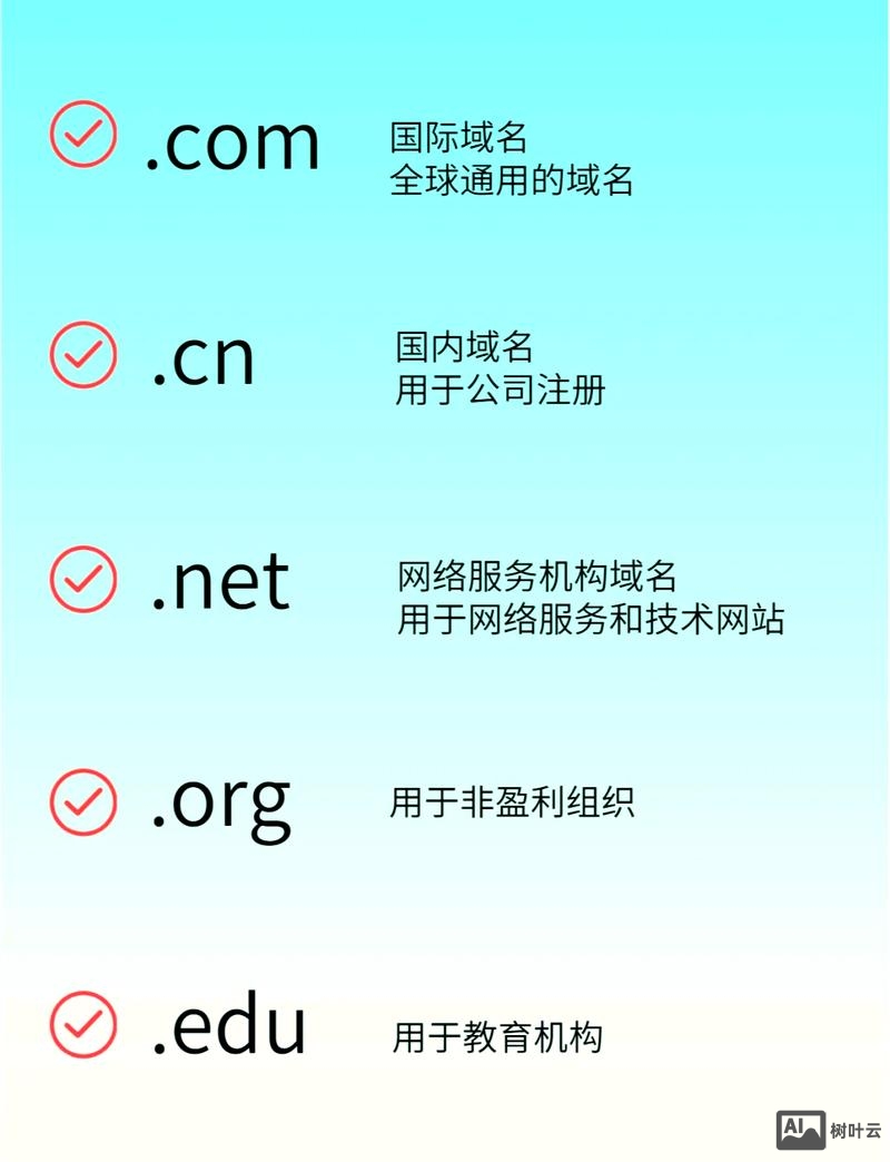 如何查询一个域名的信息