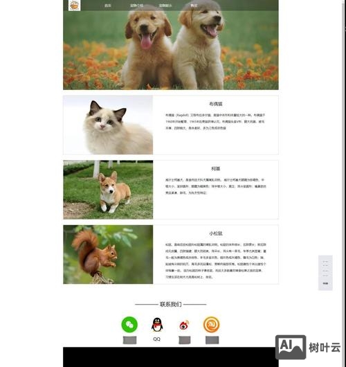 如何在网站页面添加代码