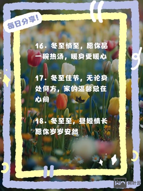 冬至如何回朋友的对话