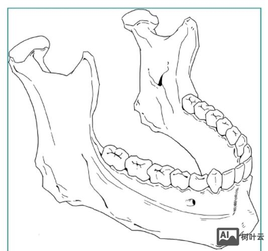 ps如何给图片描边