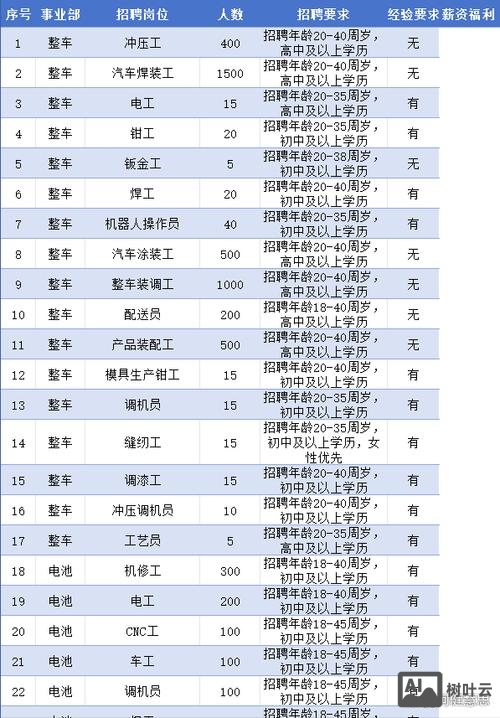 比亚迪招聘人吗