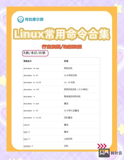 命令行中如何全选内容