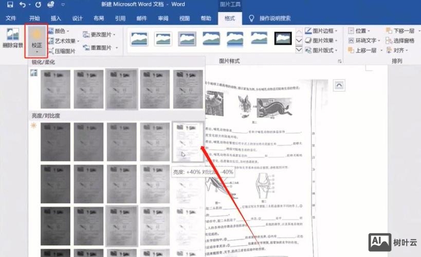 如何调整网页的对比度