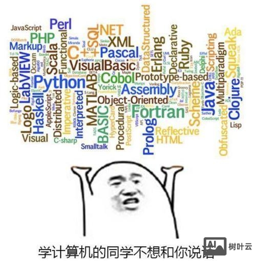 perl 语言 招聘