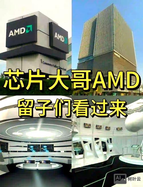 amd 无忧招聘