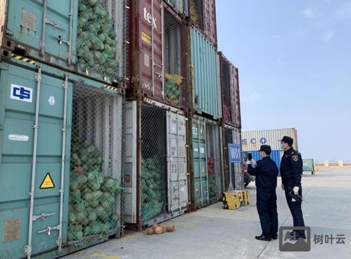 疫情下如何促进出口