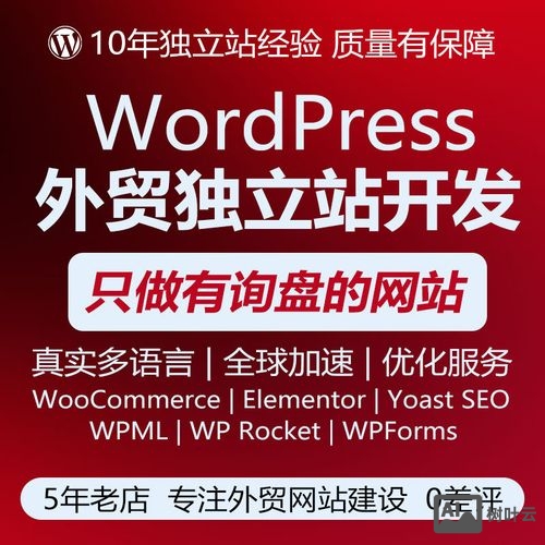 搭建网站用什么语言