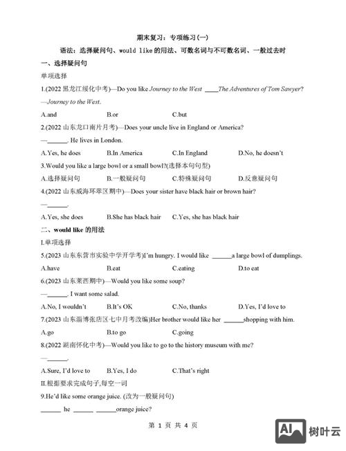 如何导入选择疑问句