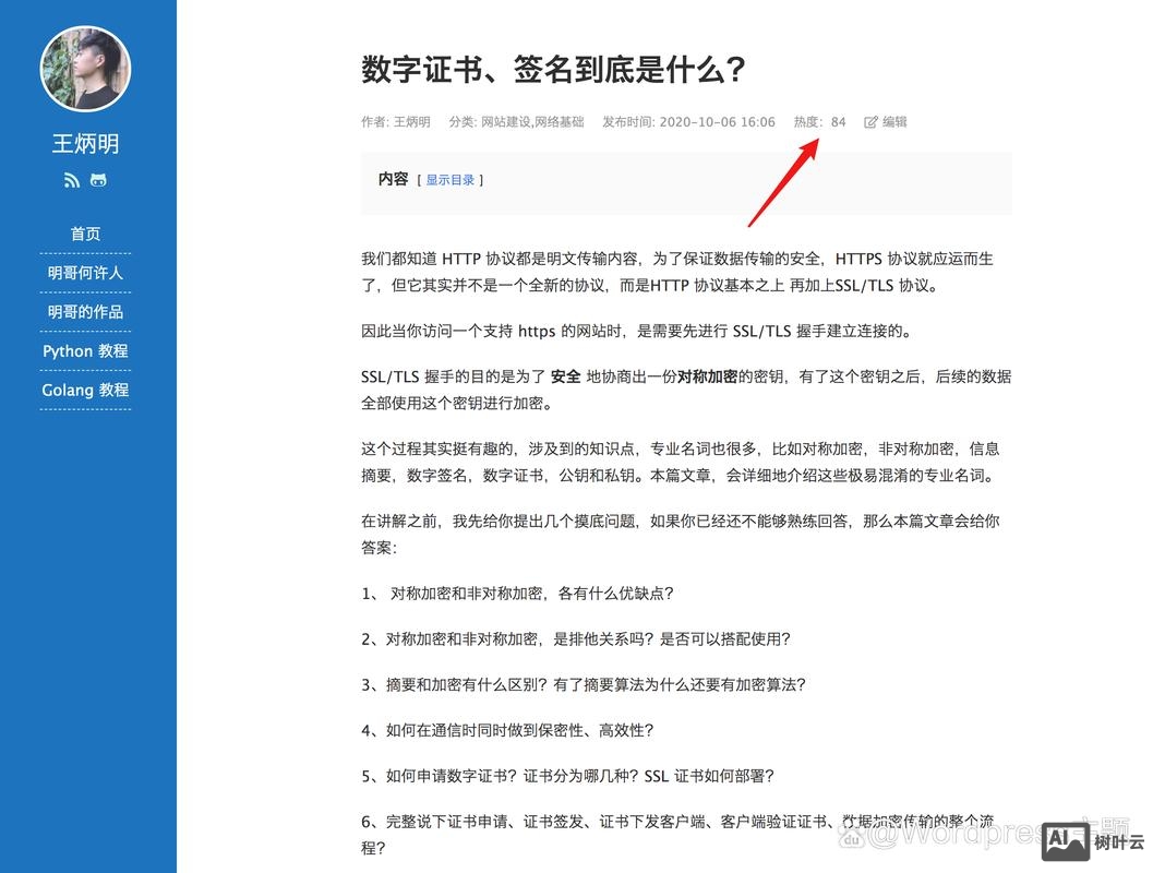 如何打开自己搭建网站