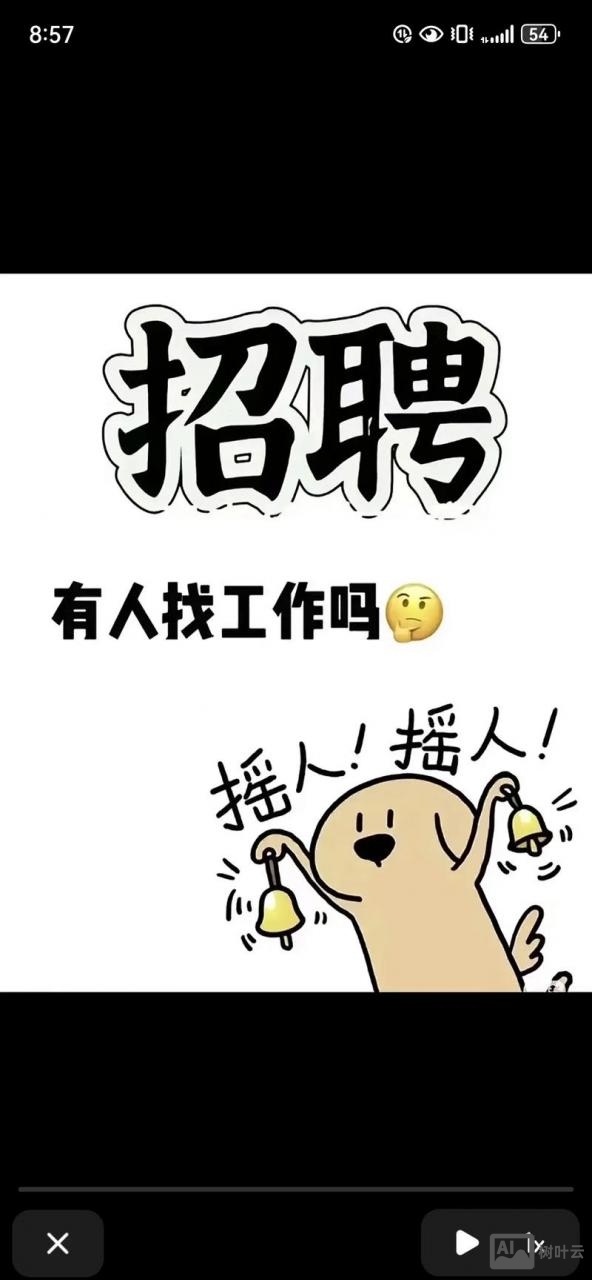白云黄鹤招聘