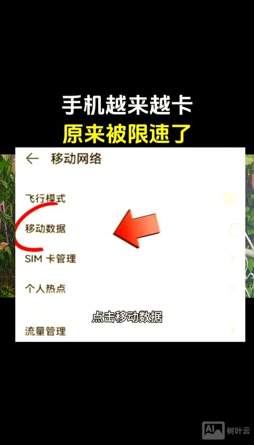 如何加快上网站的速度