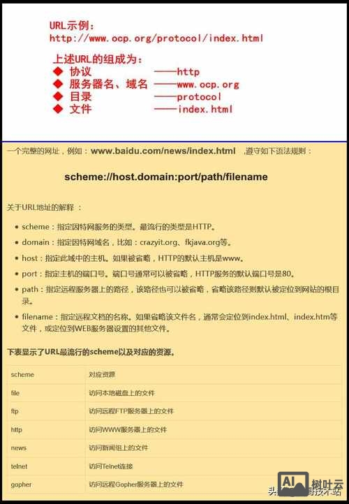 如何解析域名的ip地址