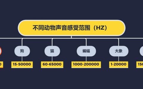 如何看图写出声音的频率，图上频率怎么听出来？