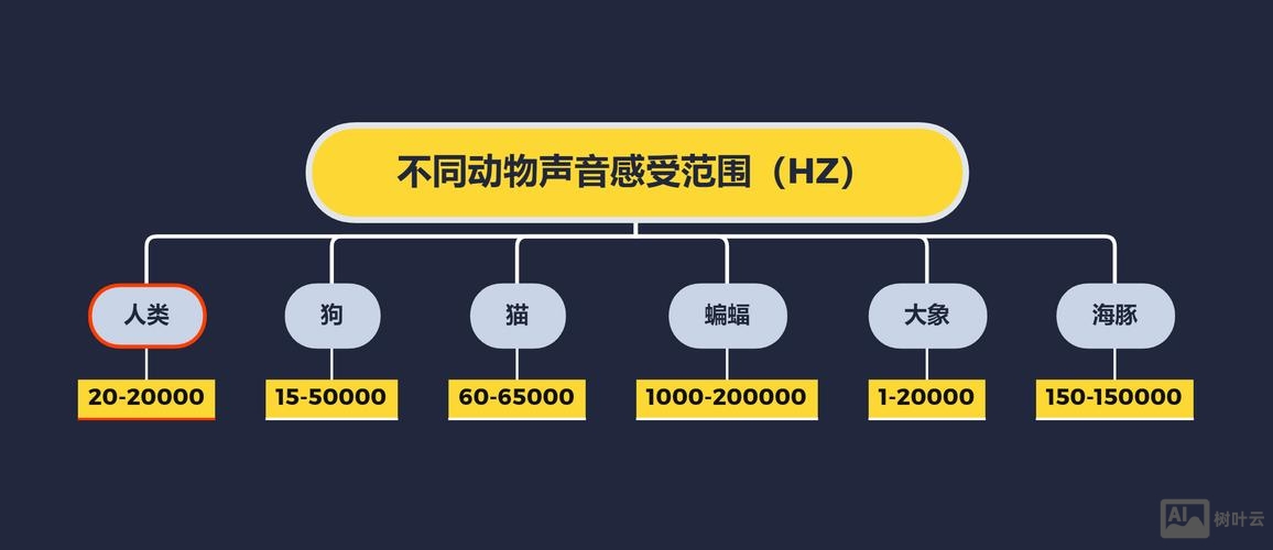 如何看图写出声音的频率