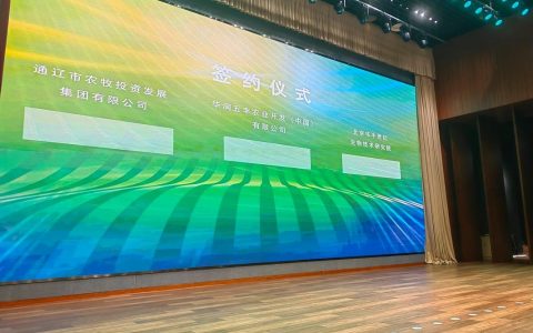 如何选择中山网络公司，中山网络公司怎么选才靠谱？