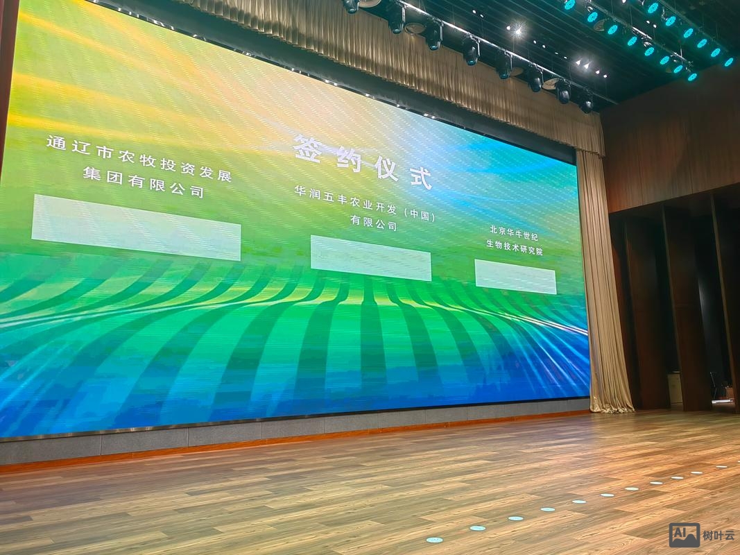 如何选择中山网络公司