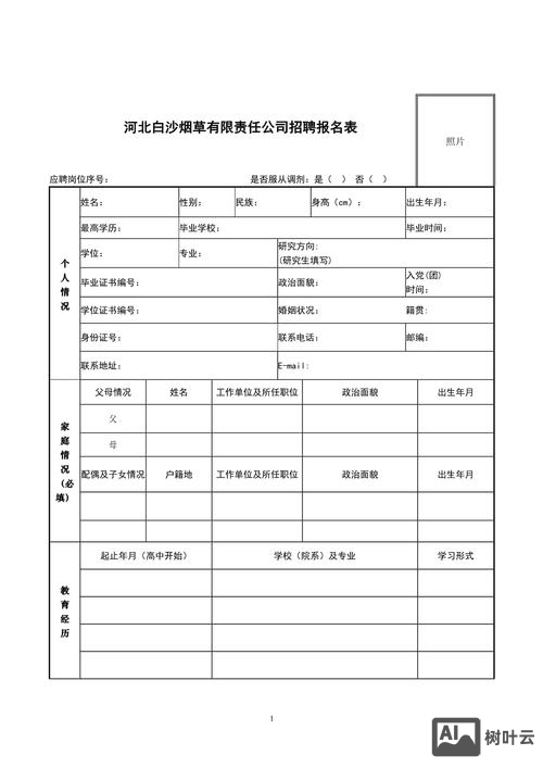 公司招聘表格怎么做