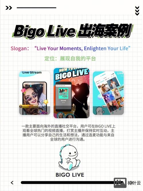 bigolive招聘 算法
