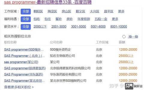 sas programmer 招聘，SAS程序员招聘，技能与经验要求有哪些？