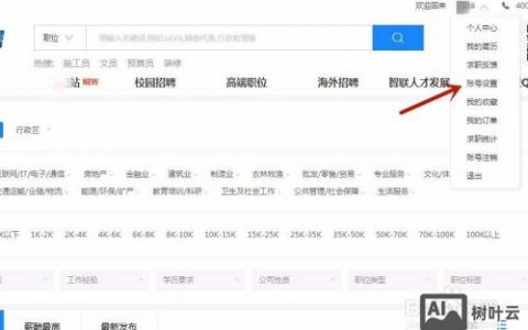 智联招聘怎么样投简历，智联招聘投简历有哪些技巧？