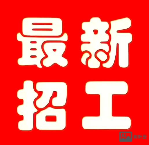 招聘的D轮是什么意思