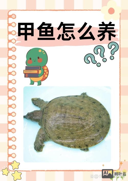 甲鱼不是鱼的大妖猴如何