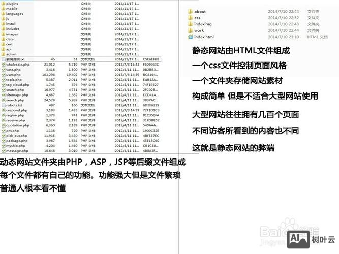 中国的域名如何申请表