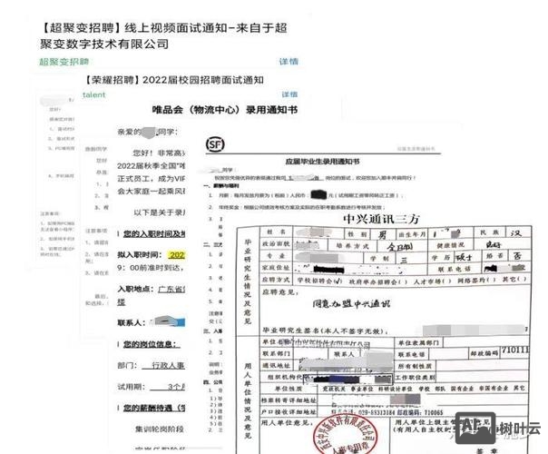 中兴招聘 终试是什么